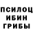 Псилоцибиновые грибы Psilocybine cubensis Jan Narkiewicz