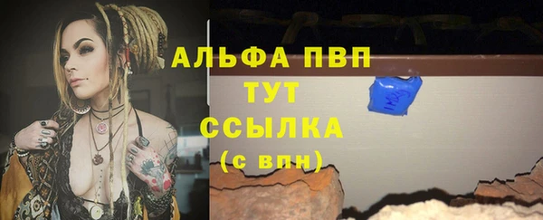 стаф Абаза