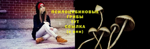 ECSTASY Алексеевка