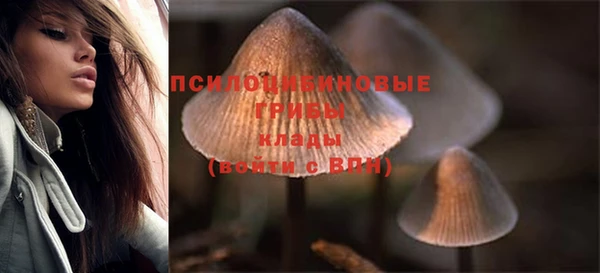 прущие грибы Абдулино