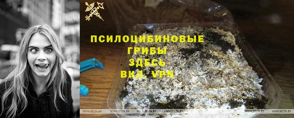 прущие грибы Абдулино