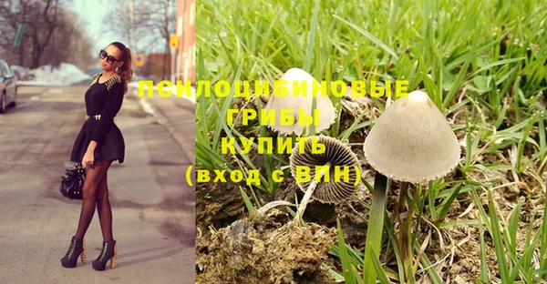 стаф Абаза