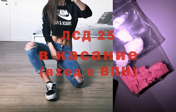 прущие грибы Абдулино