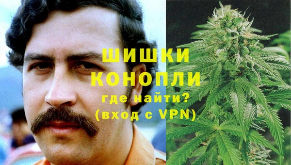 стаф Абаза
